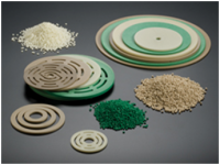 Peek Valve Plate in India